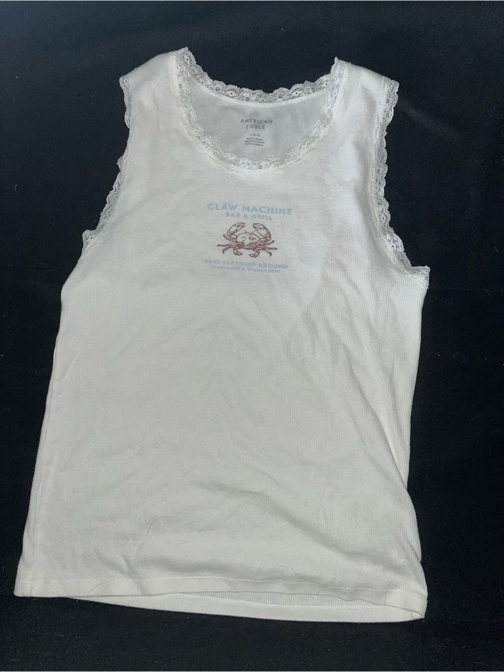 American Eagle Outfitters White Tank Top with Blue and Brown Graphic